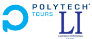 logo_polytechLI
